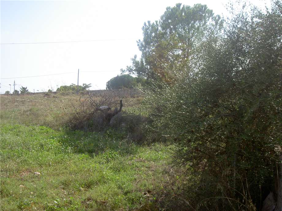Venta Terreno Noto TESTA DELL'ACQUA #69T n.5