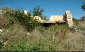 Rudere Noto #141T