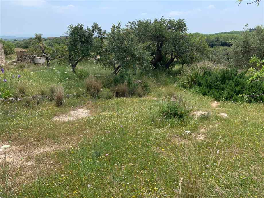 For sale Land Noto  #35T n.14