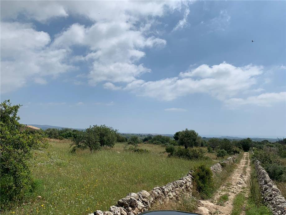For sale Land Noto  #35T n.2