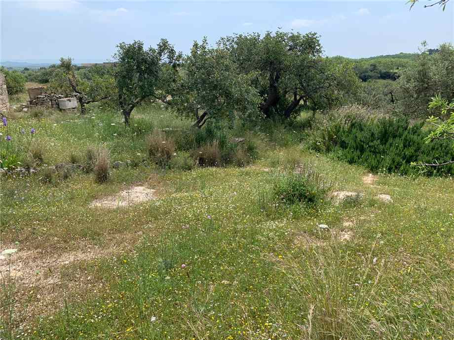 Vendita Terreno Noto #35T n.5