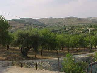 Venta Ruina Avola  #131T n.3