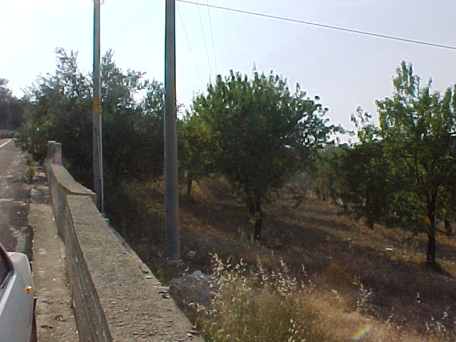 Venta Terreno Avola #131T n.5
