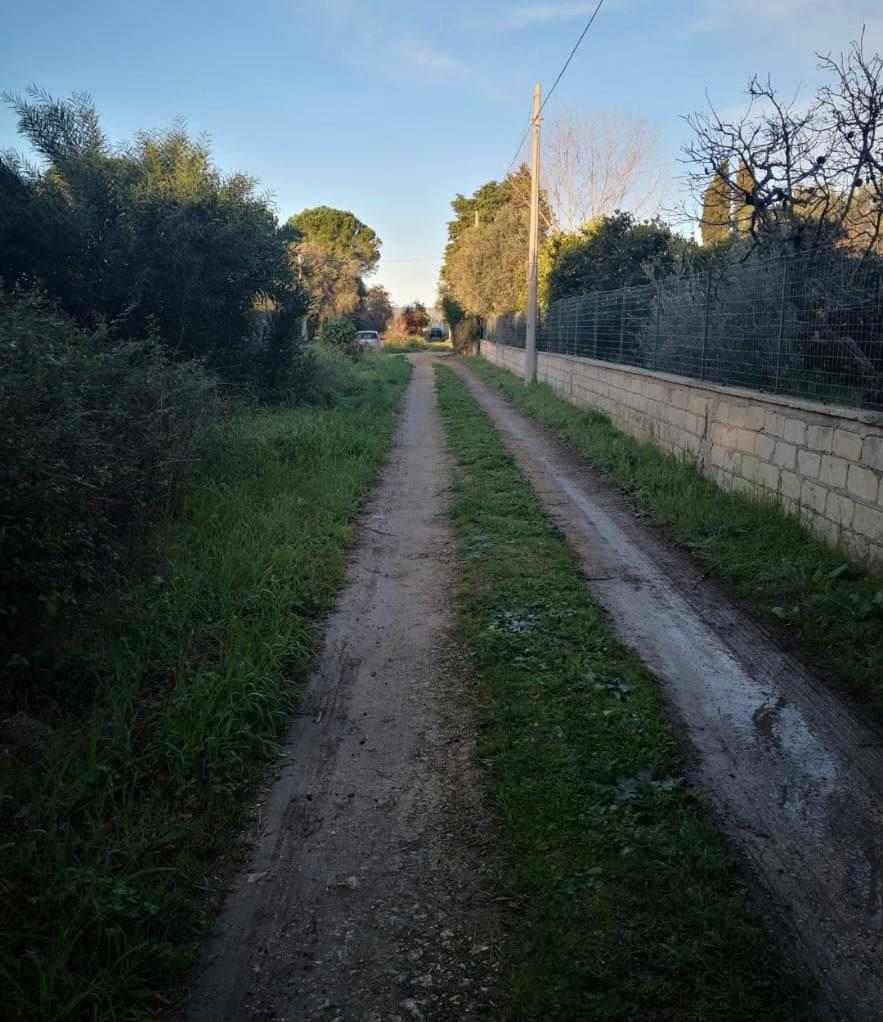 For sale Four-family villa Siracusa #39CSR n.9