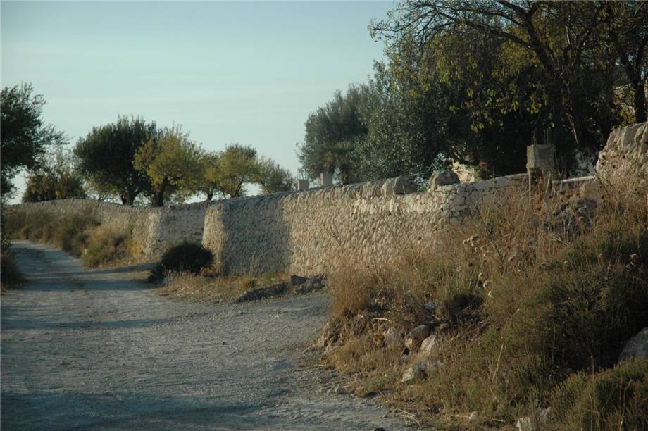 Vente Terrain Pachino #230T n.10