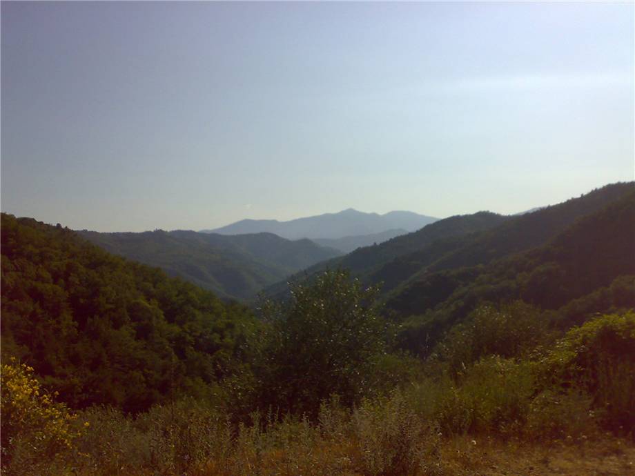 Venta Casal/Cascina/Casa rural Bajardo #35TS n.4