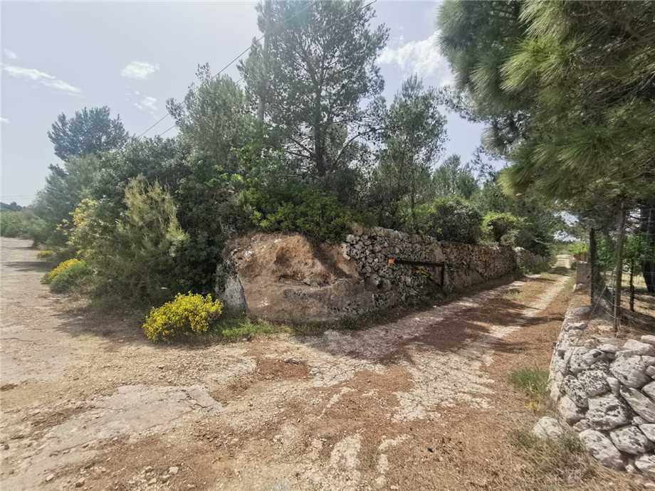 For sale Bare land Noto #28T n.2