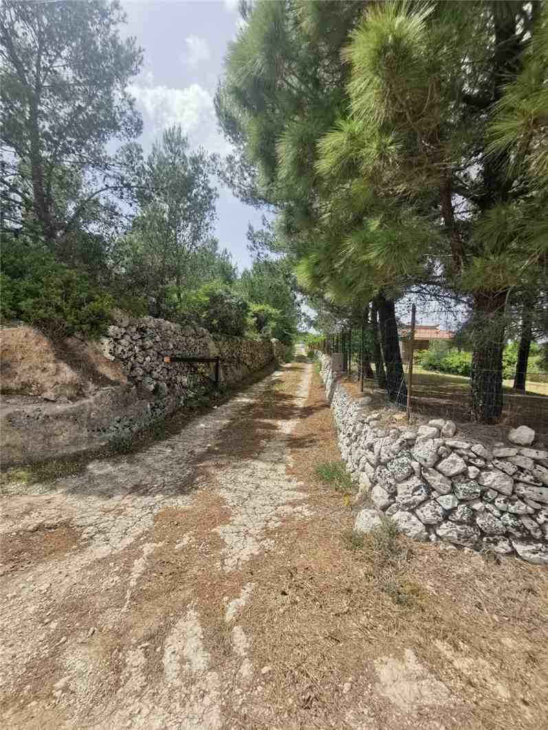 For sale Bare land Noto #28T n.3