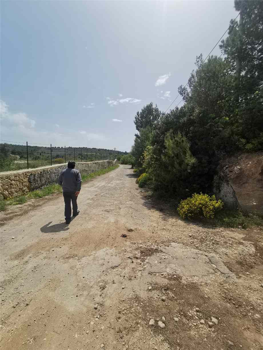 For sale Bare land Noto #28T n.4