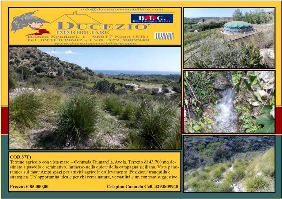 Vente Terrain Avola #37T n.1