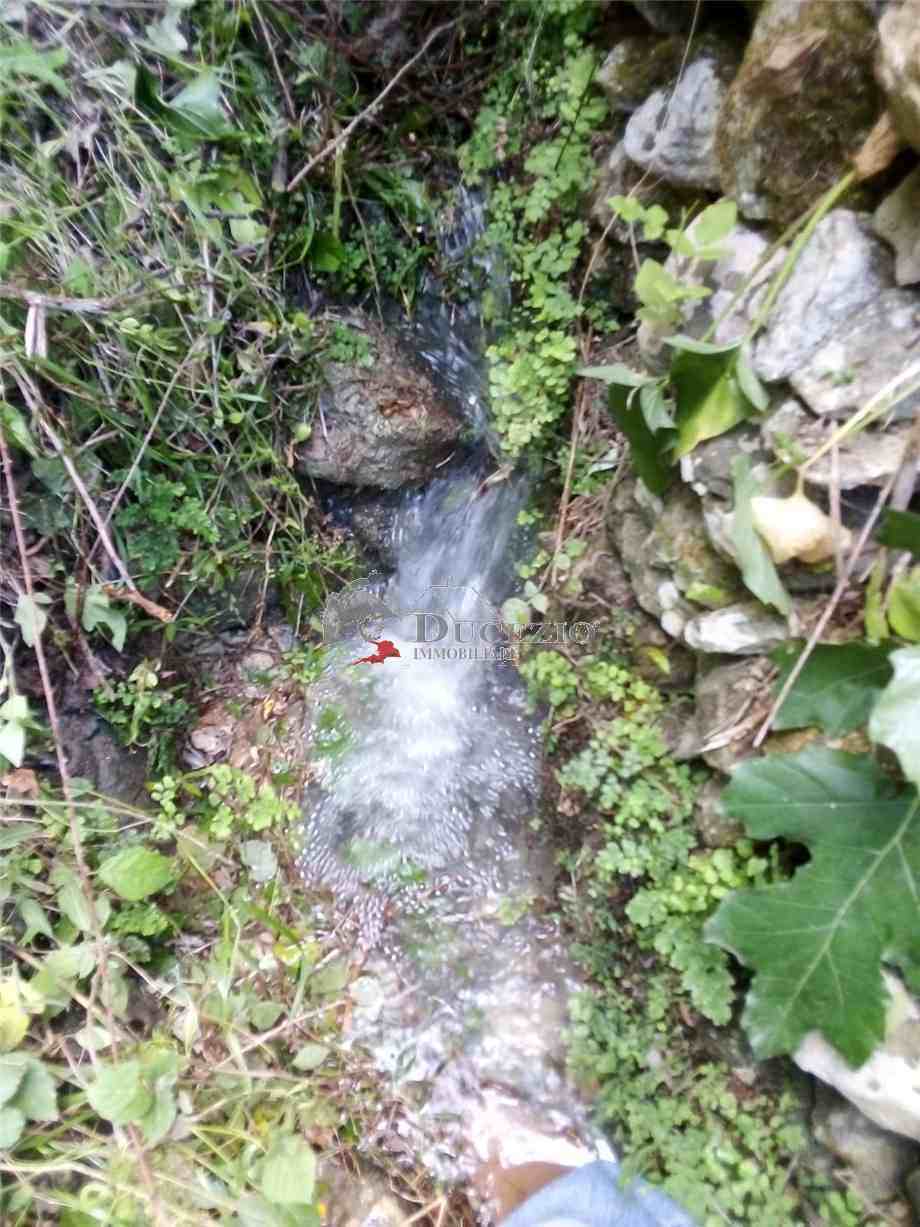 Vente Terrain Avola #37T n.13