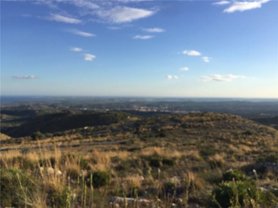 Vente Terrain Avola #38T n.14