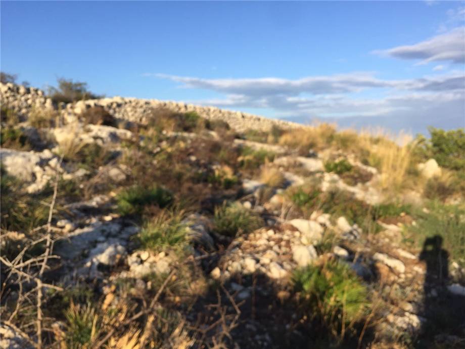 Vente Terrain Avola #38T n.2