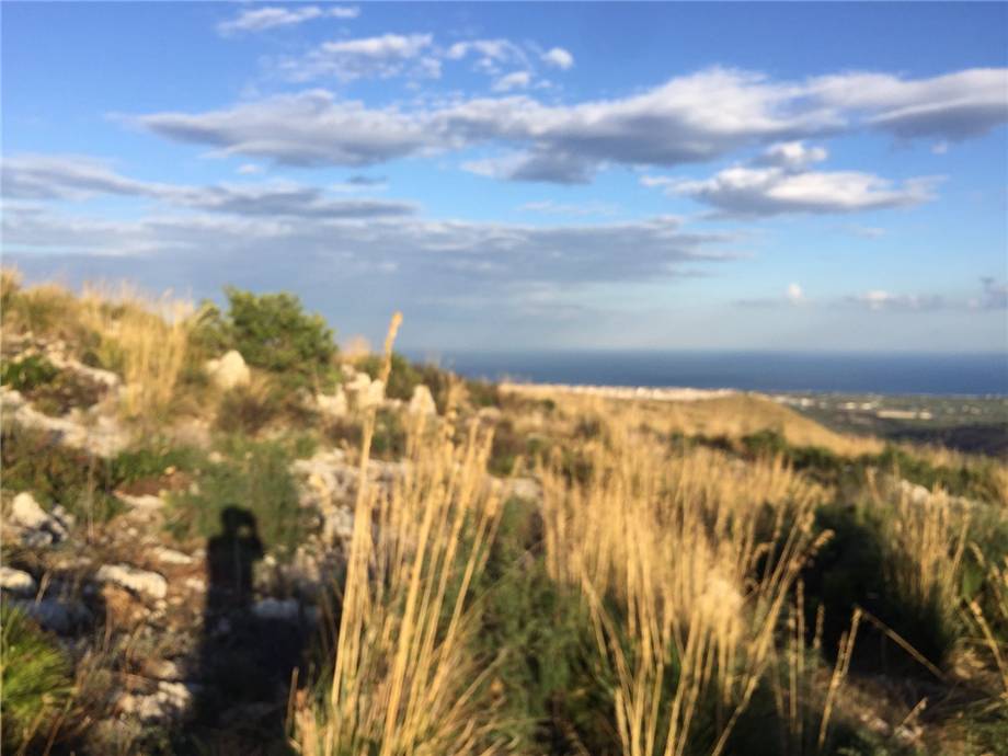 Vente Terrain Avola #38T n.6