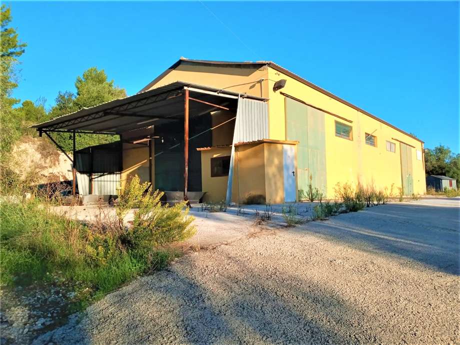Azienda agricola Noto #4OL