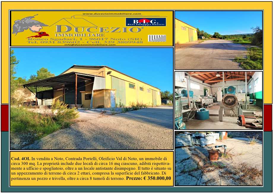 For sale Agricultural company Noto #4OL n.1