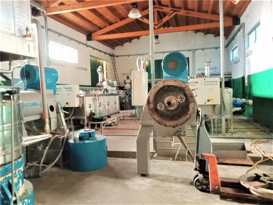 For sale Agricultural company Noto #4OL n.10