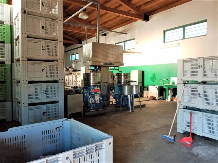 For sale Agricultural company Noto #4OL n.11