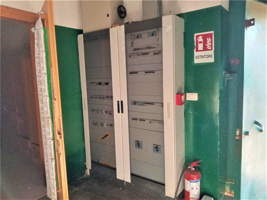 Vendita Azienda agricola Noto  #4OL n.14