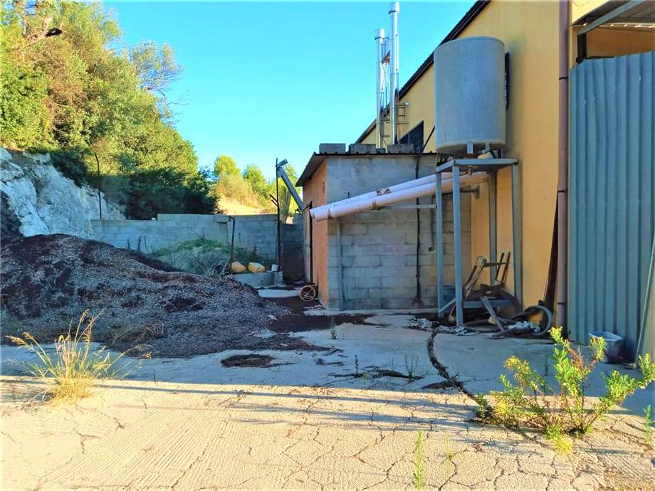 For sale Agricultural company Noto #4OL n.2
