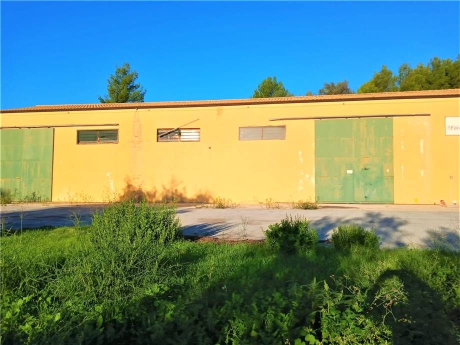 For sale Agricultural company Noto #4OL n.3
