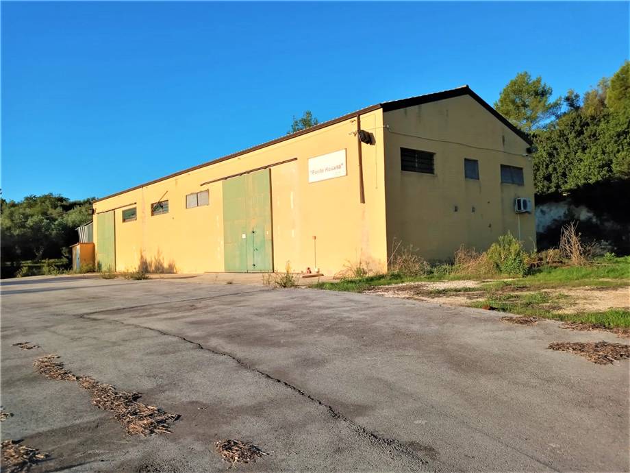 For sale Agricultural company Noto #4OL n.4