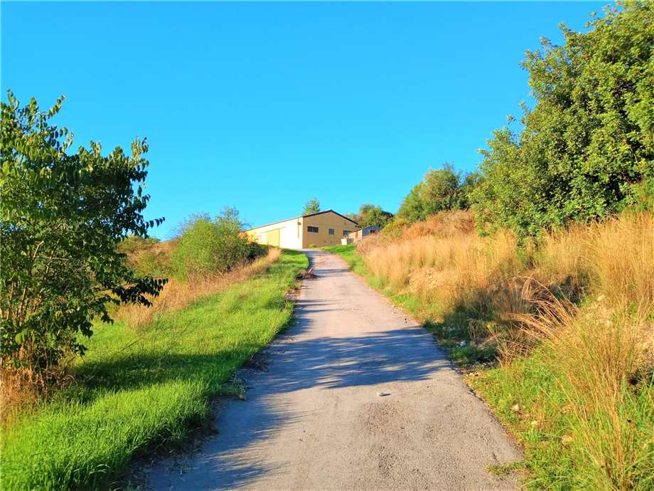 Vendita Azienda agricola Noto  #4OL n.5