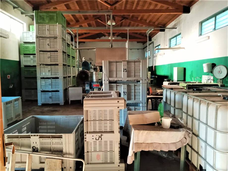 For sale Agricultural company Noto #4OL n.9