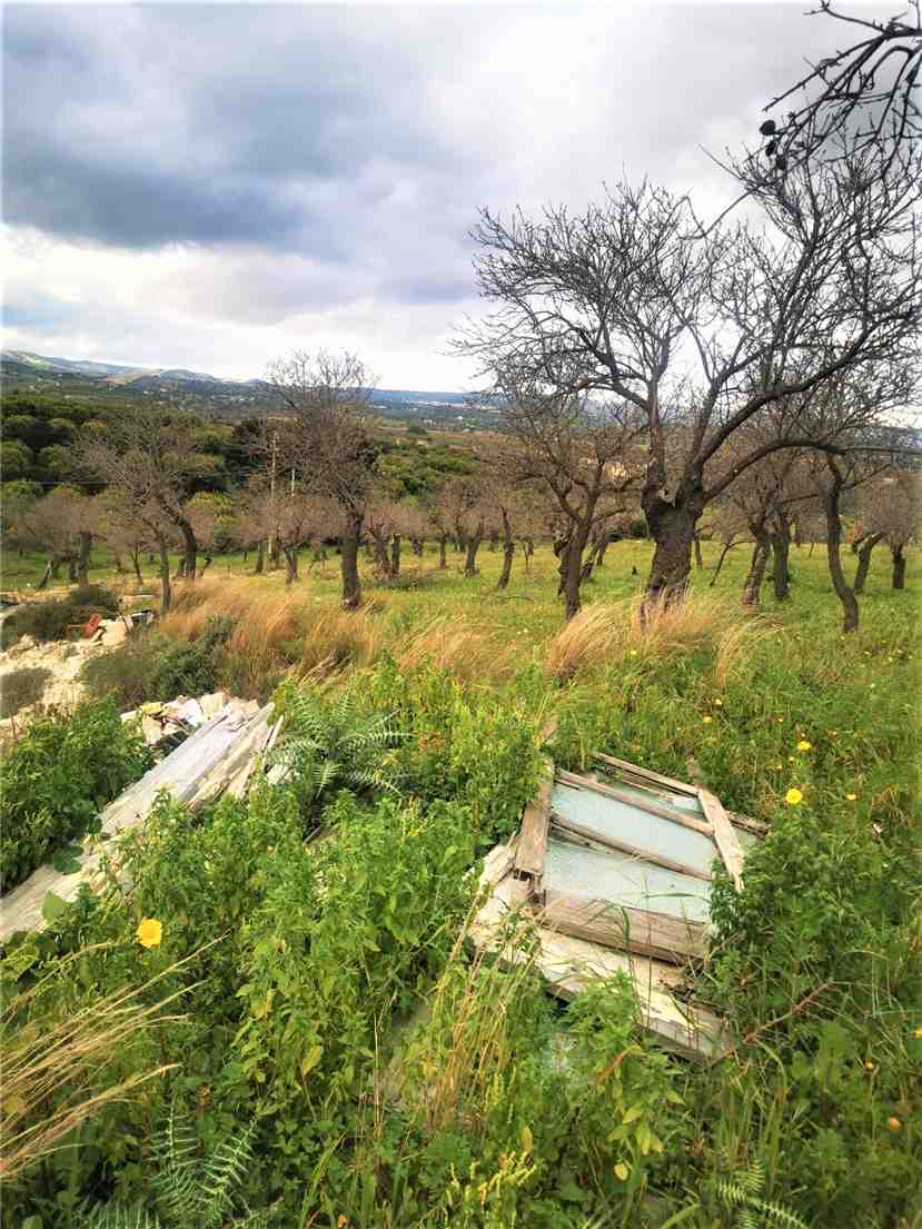 Venta Masseria Noto  #10T n.11