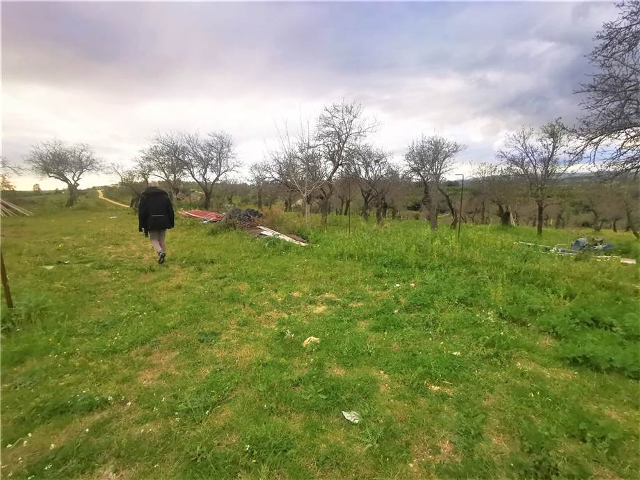 Venta Masseria Noto  #10T n.13