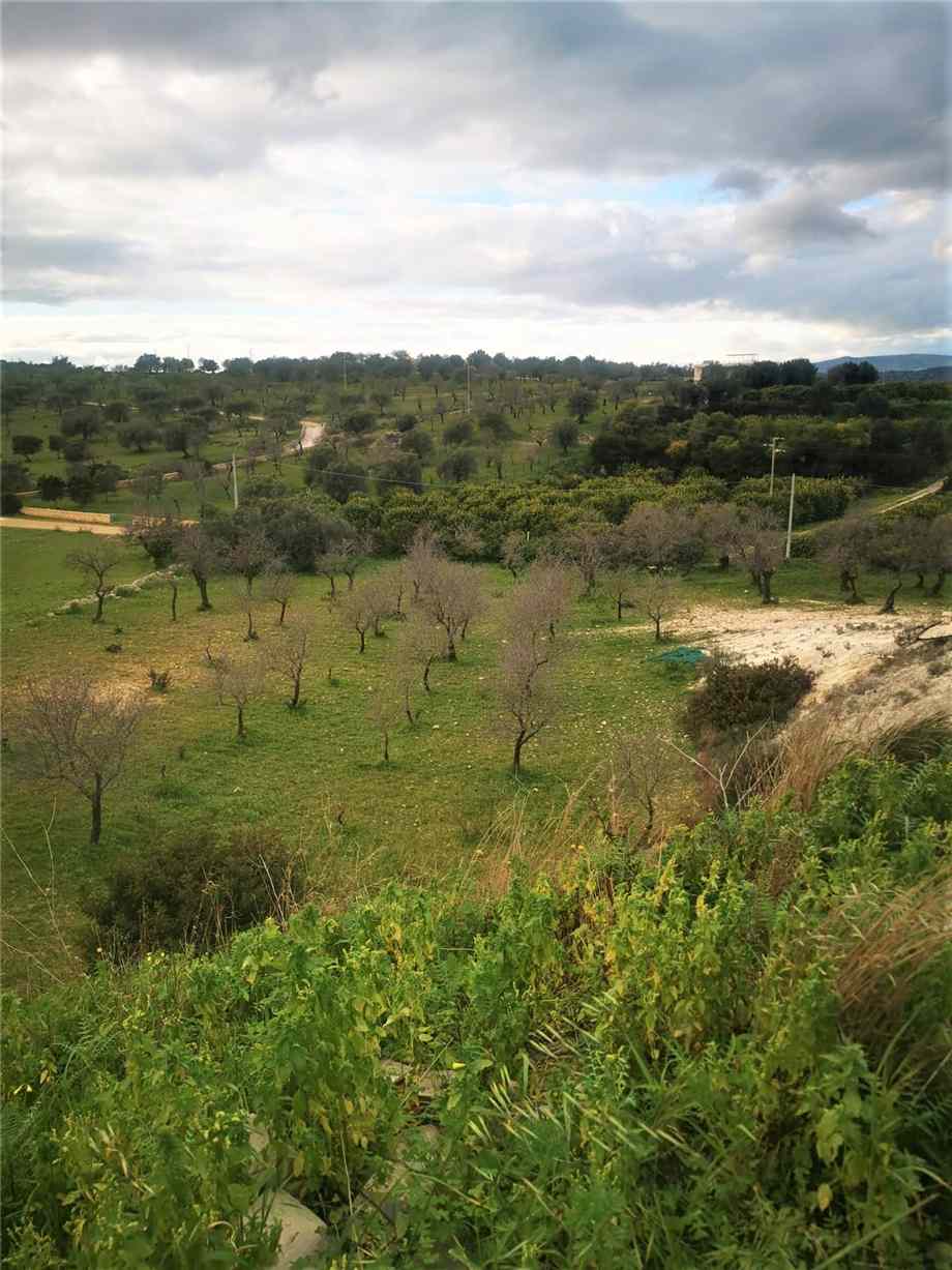 Venta Masseria Noto  #10T n.14