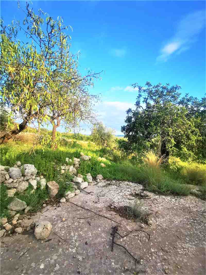 For sale Land Noto  #13T n.14