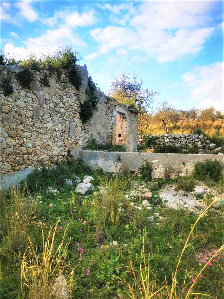 For sale Land Noto  #13T n.15