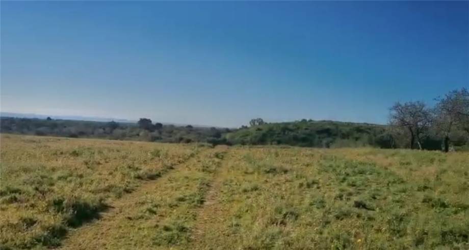 Venta Terreno Avola #6T n.3