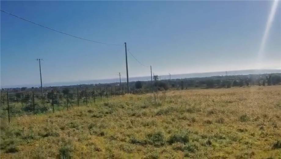 Venta Terreno Avola #6T n.5