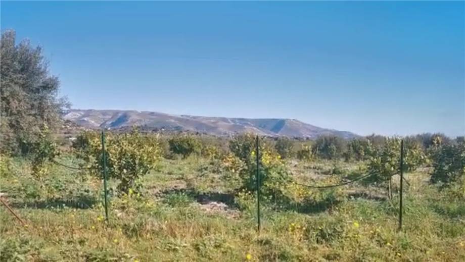 Venta Terreno Avola #6T n.6