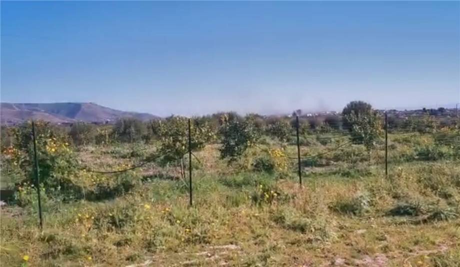 Venta Terreno Avola #6T n.7