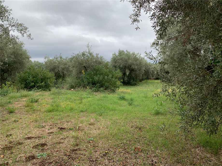 Venta Terreno edificable Noto  #72T n.2