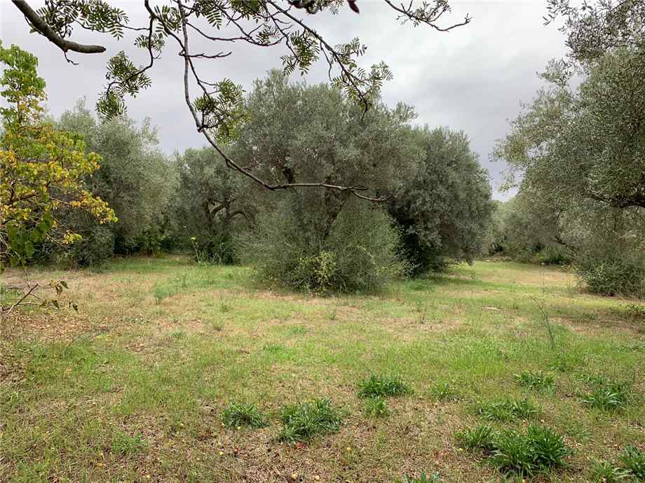 Venta Terreno edificable Noto  #72T n.3