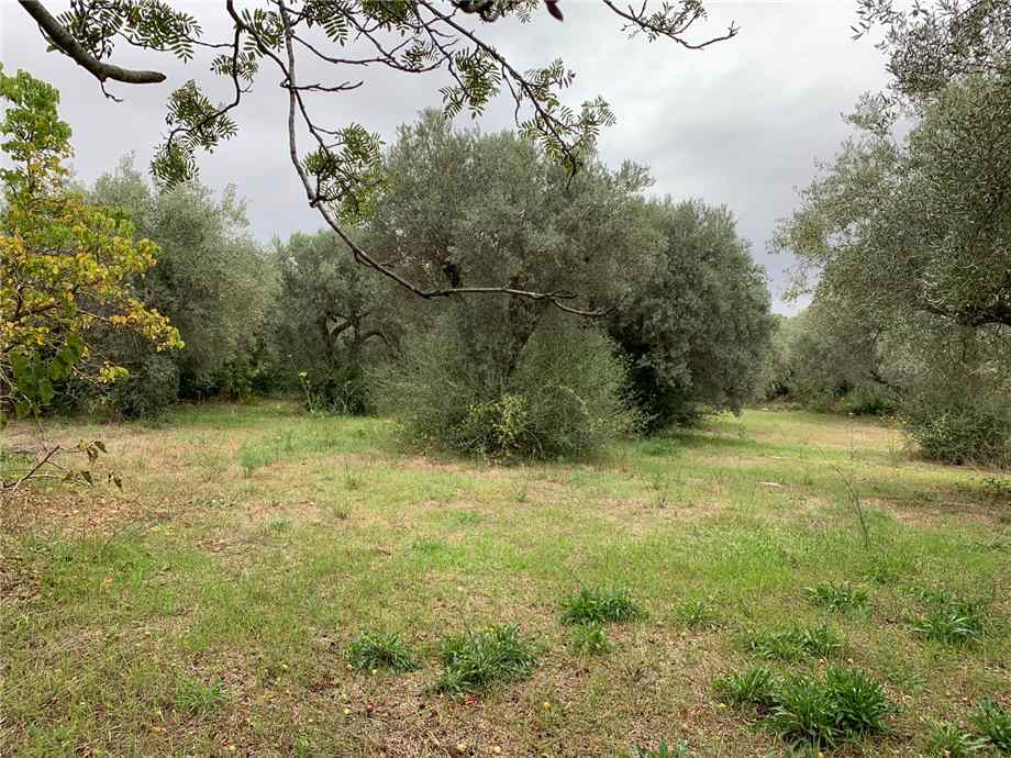 For sale Land Noto  #72T n.3