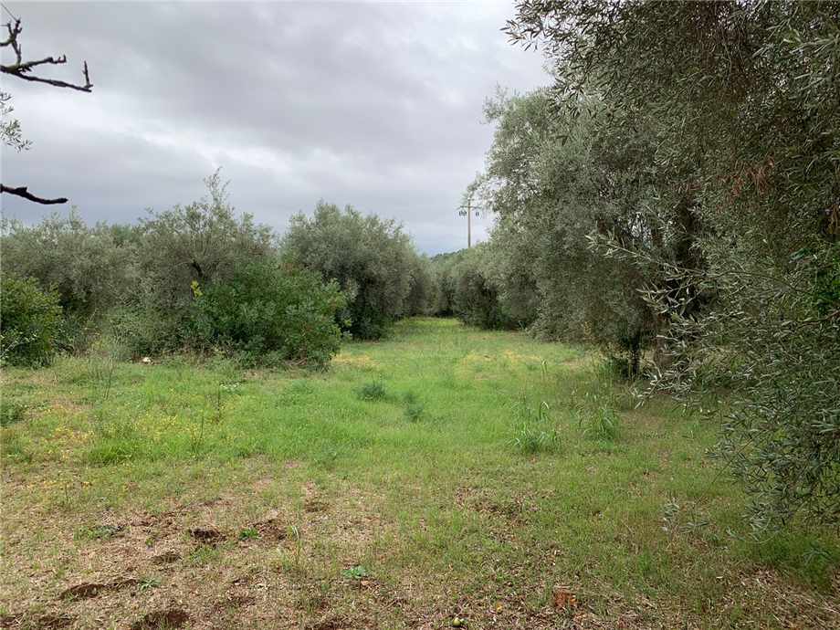 Venta Terreno edificable Noto  #72T n.4