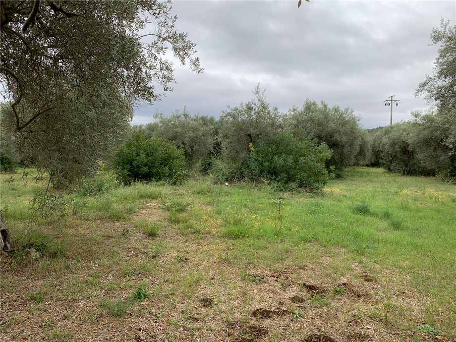 For sale Land Noto  #72T n.5