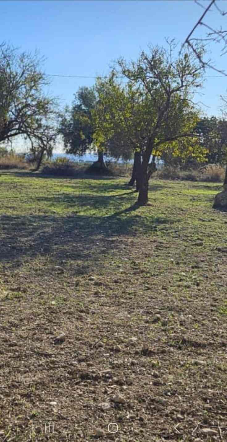 Vendita Terreno Noto #30T n.11