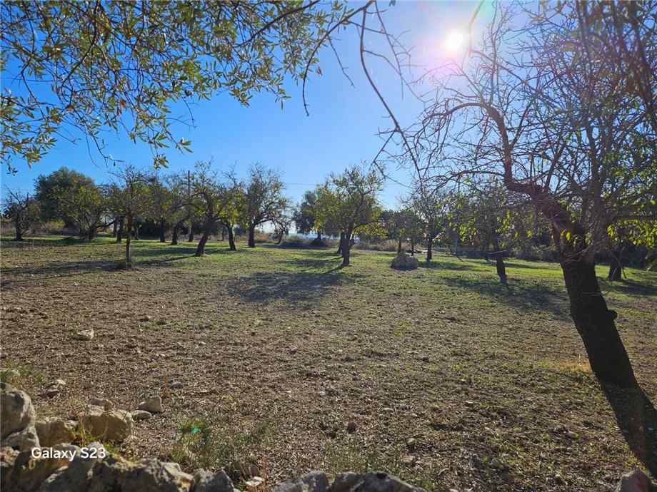 For sale Land Noto  #30T n.3