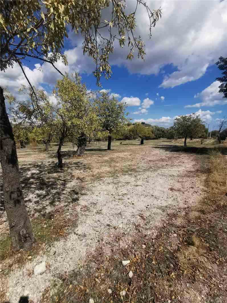 For sale Land Noto  #30T n.8