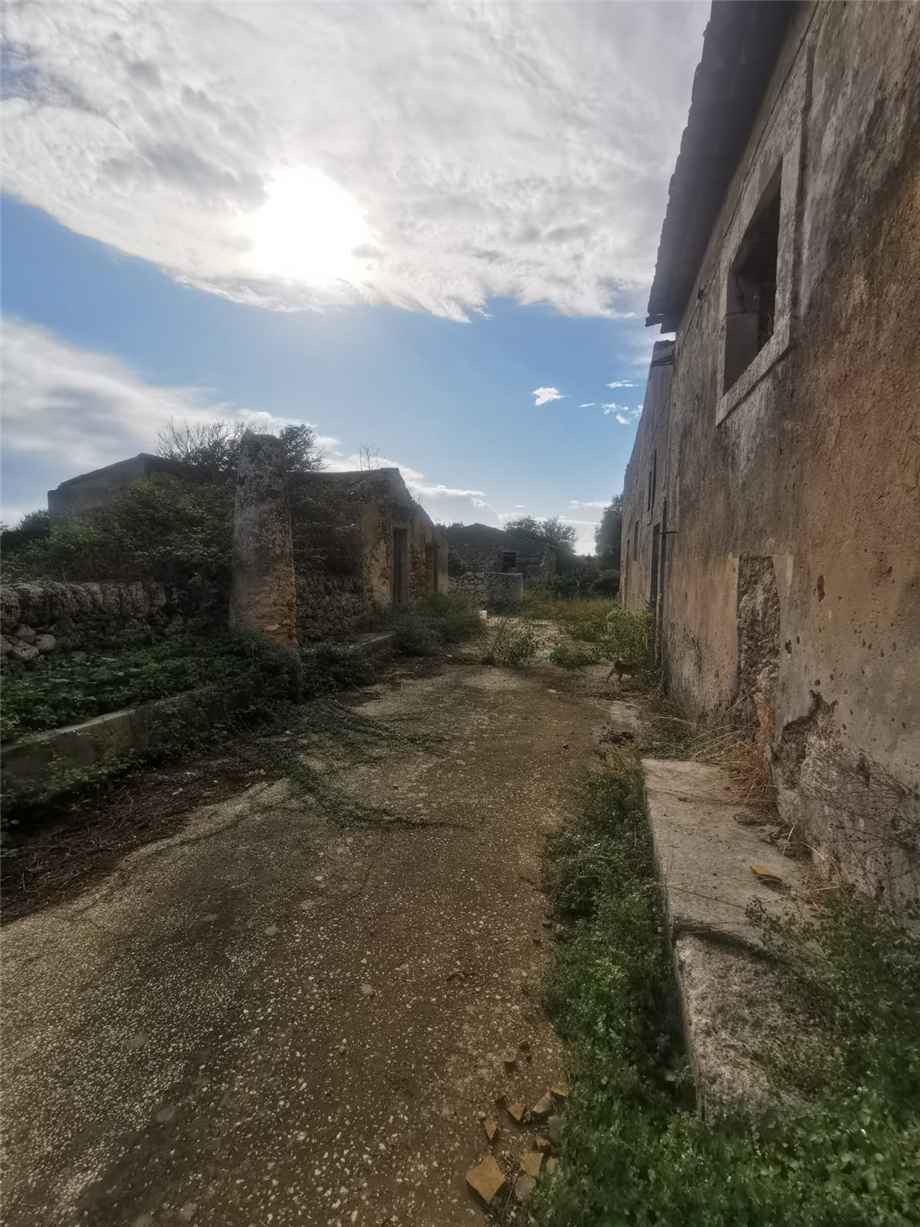 Ruina Siracusa #50T