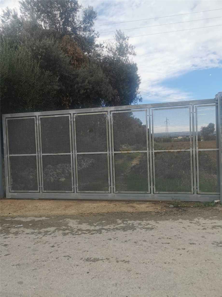Venta Ruina Siracusa  #50T n.12