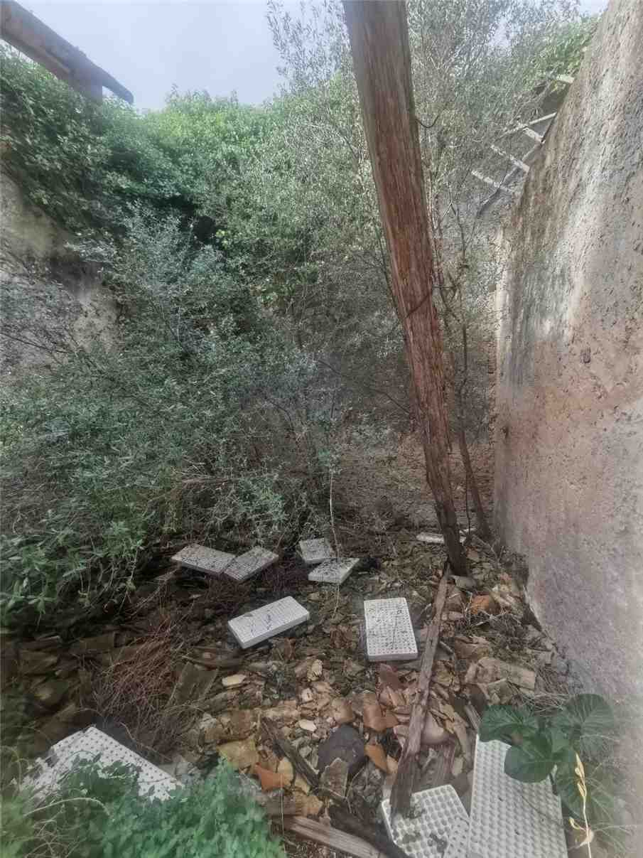 Venta Ruina Siracusa  #50T n.14