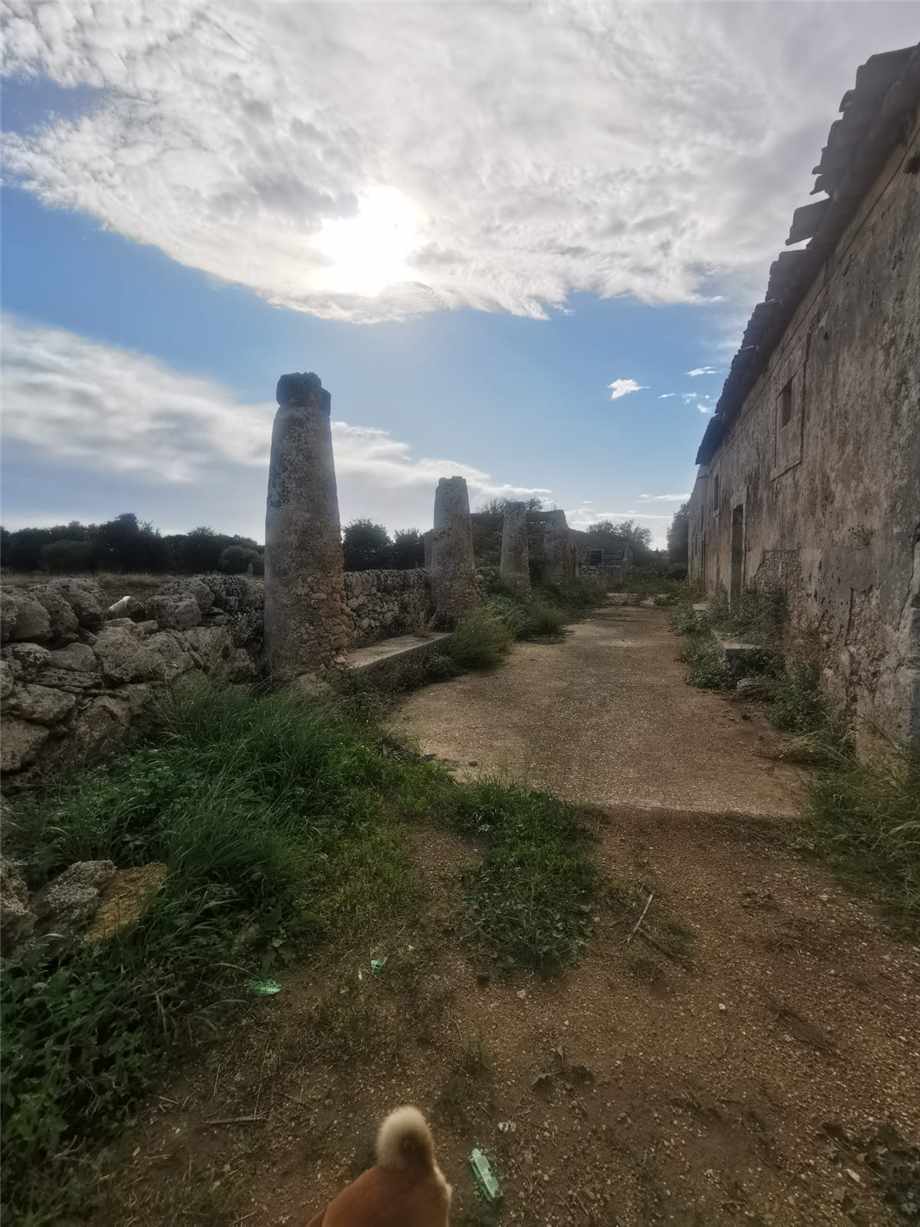 Venta Ruina Siracusa  #50T n.6