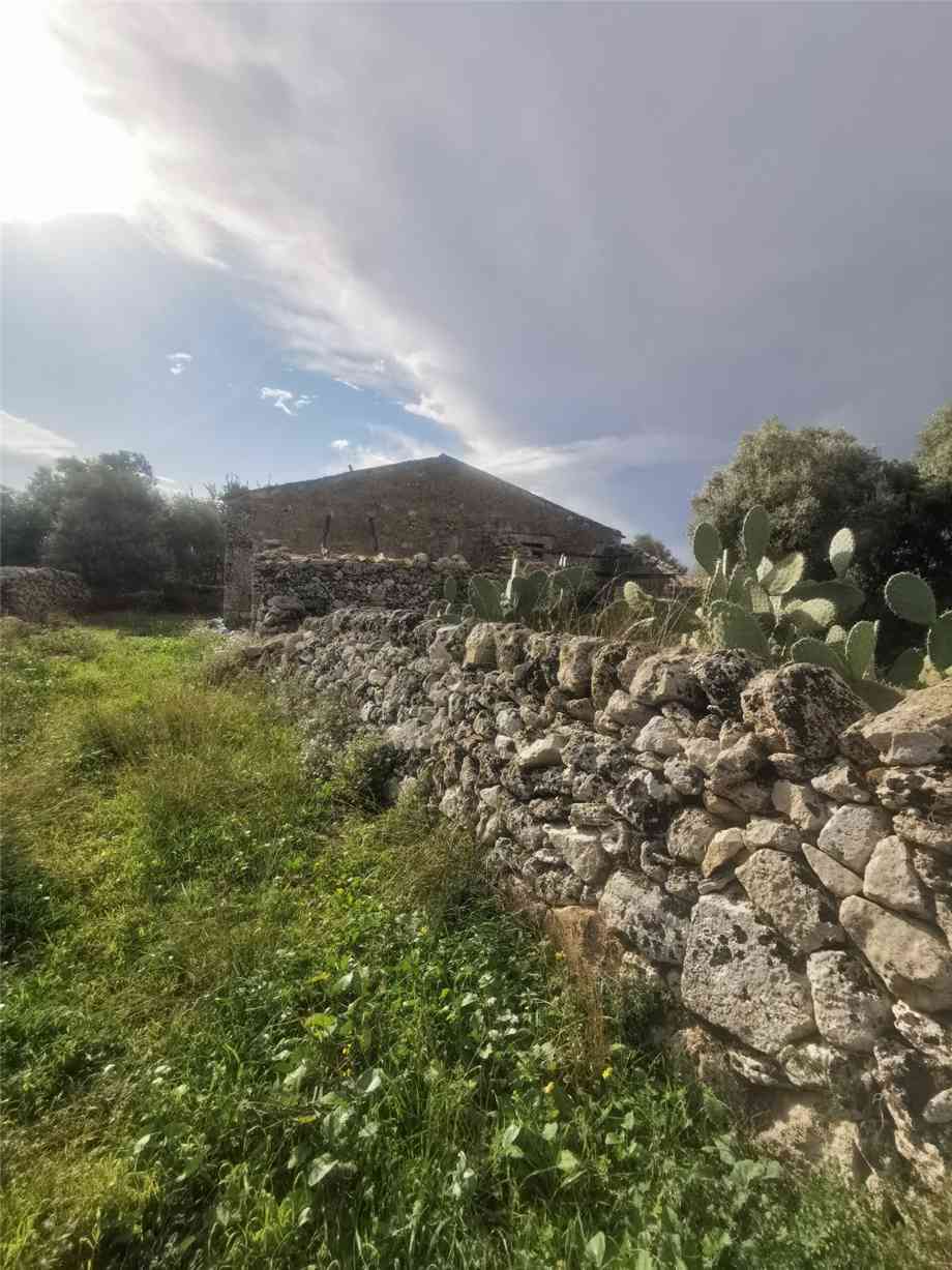 Venta Ruina Siracusa  #50T n.7